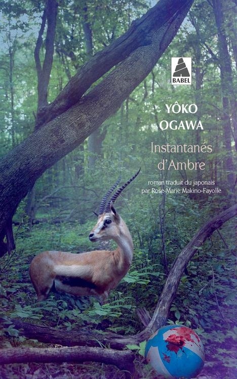 Instantanés d'ambre