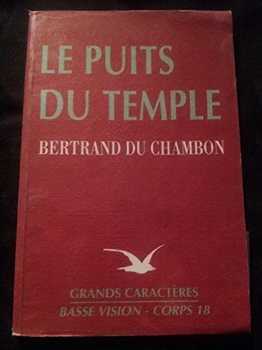 Le puits du temple (Collection Basse vision) [9782843790997]