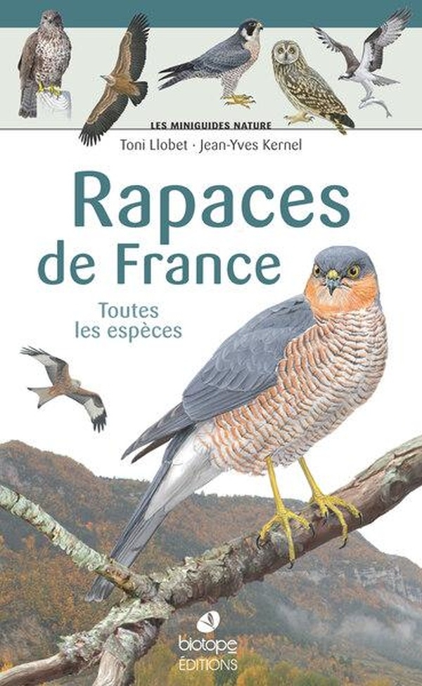 Les miniguides nature - Rapaces de France: Toutes les espèces
