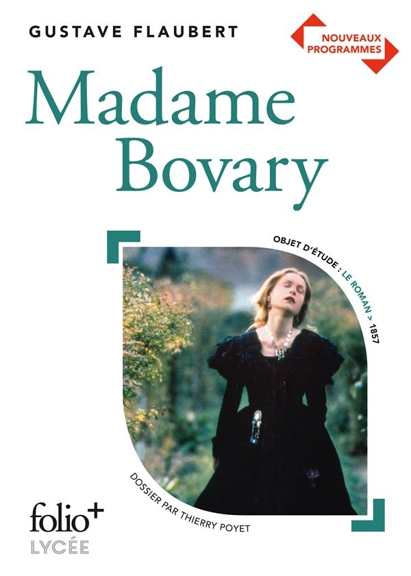 Madame Bovary: Mœurs de province