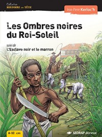 Les ombres noires du roi soleil