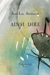AINSI DIRE - Jean-Luc Steinmetz