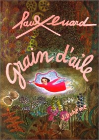 Grain d'aile