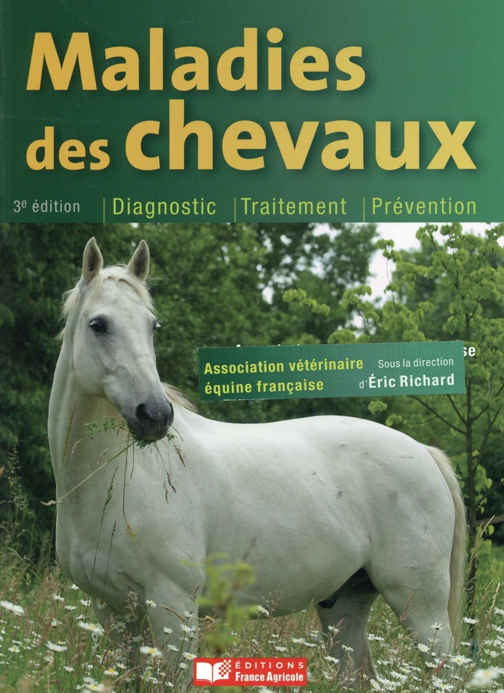 Maladies des chevaux