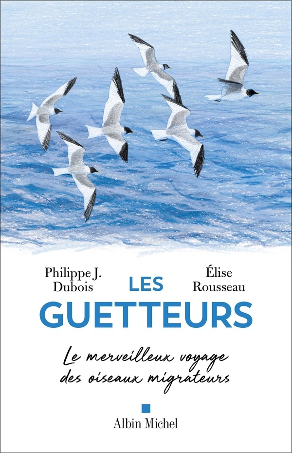 Les Guetteurs: Le merveilleux voyage des oiseaux migrateurs