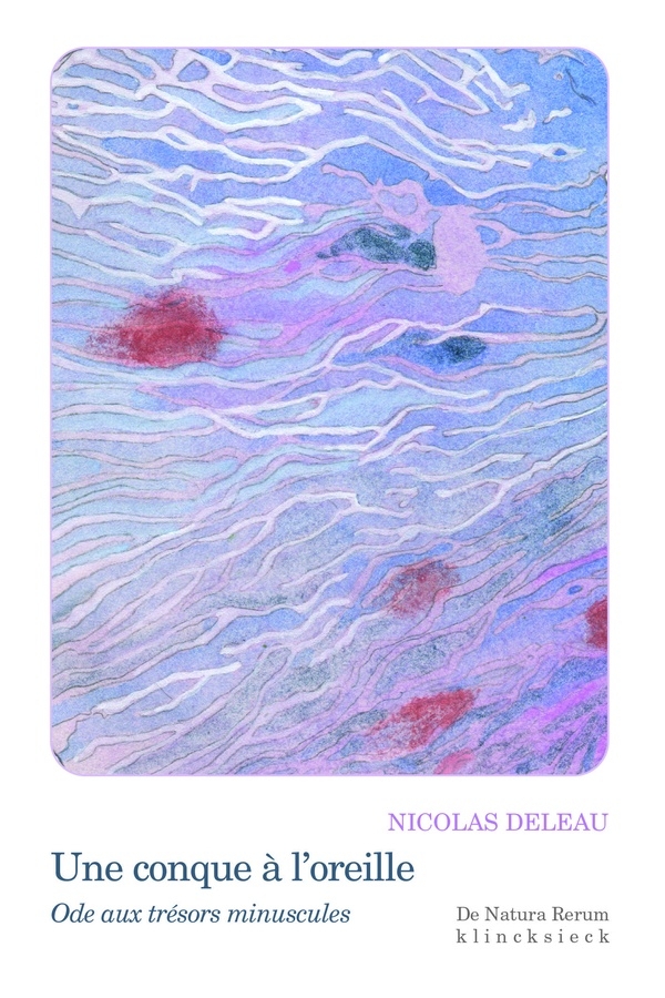 Une Conque à l'oreille: Ode aux trésors minuscules
