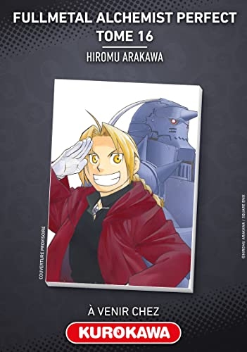 Fullmetal Alchemist Perfect T16 (16)