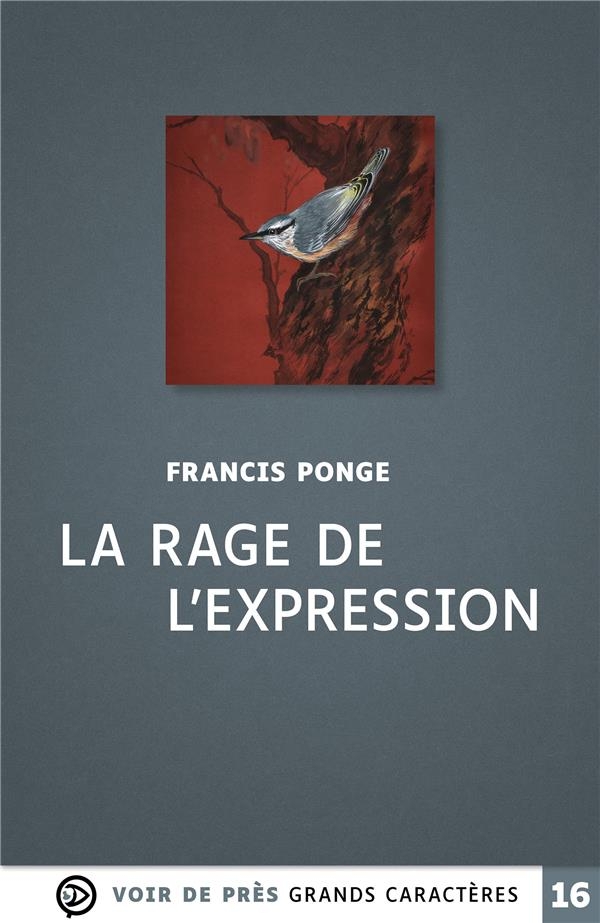 La rage de l'expression: Grands caractères, édition accessible pour les malvoyants