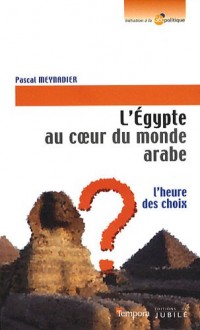 L'Egypte au coeur du monde arabe : L'heure des choix
