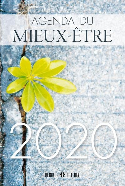 Agenda du Mieux-être 2020