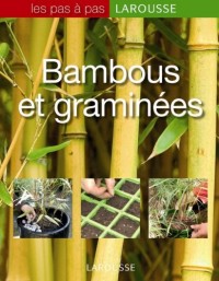Bambous et graminées