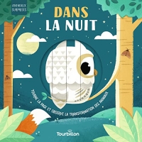 Dans la nuit