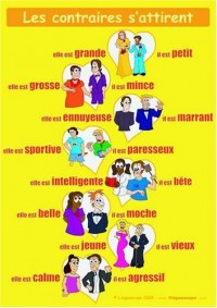 French Poster (Les Contraires S'attirent)