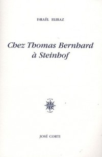 Chez Thomas Bernhard à Steinhof