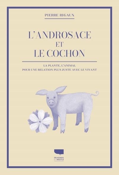 L'Androsace et le cochon