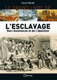 Le grand livre de l'esclavage : Des résistances et de l'abolition