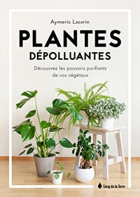 Plantes dépolluantes - Découvrez les pouvoirs purifiants de vos végétaux