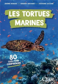 Les tortues marines: 80 clés pour comprendre