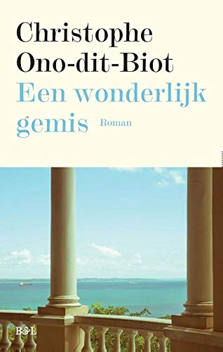 Een wonderlijk gemis [9789463930161]