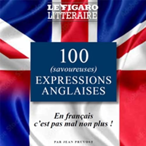 PLV du guide 100 expressions anglaises: En français c'est pas mal non plus !
