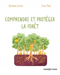 Tout comprendre ou presque...sur les forêts