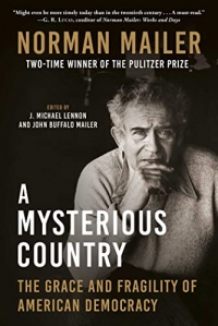 A Mysterious Country: The Grace and Fragility of American Democracy