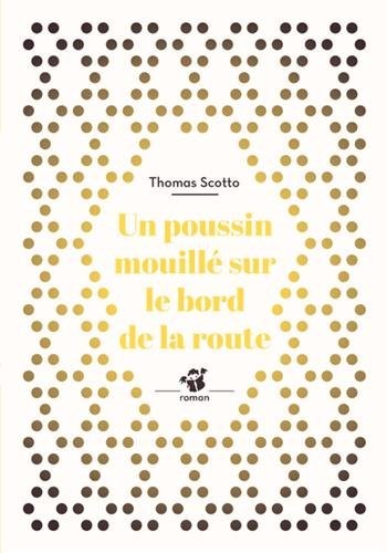 Un poussin mouillé au bord de la route