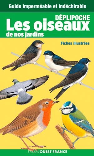 Reconnaître les oiseaux du jardin