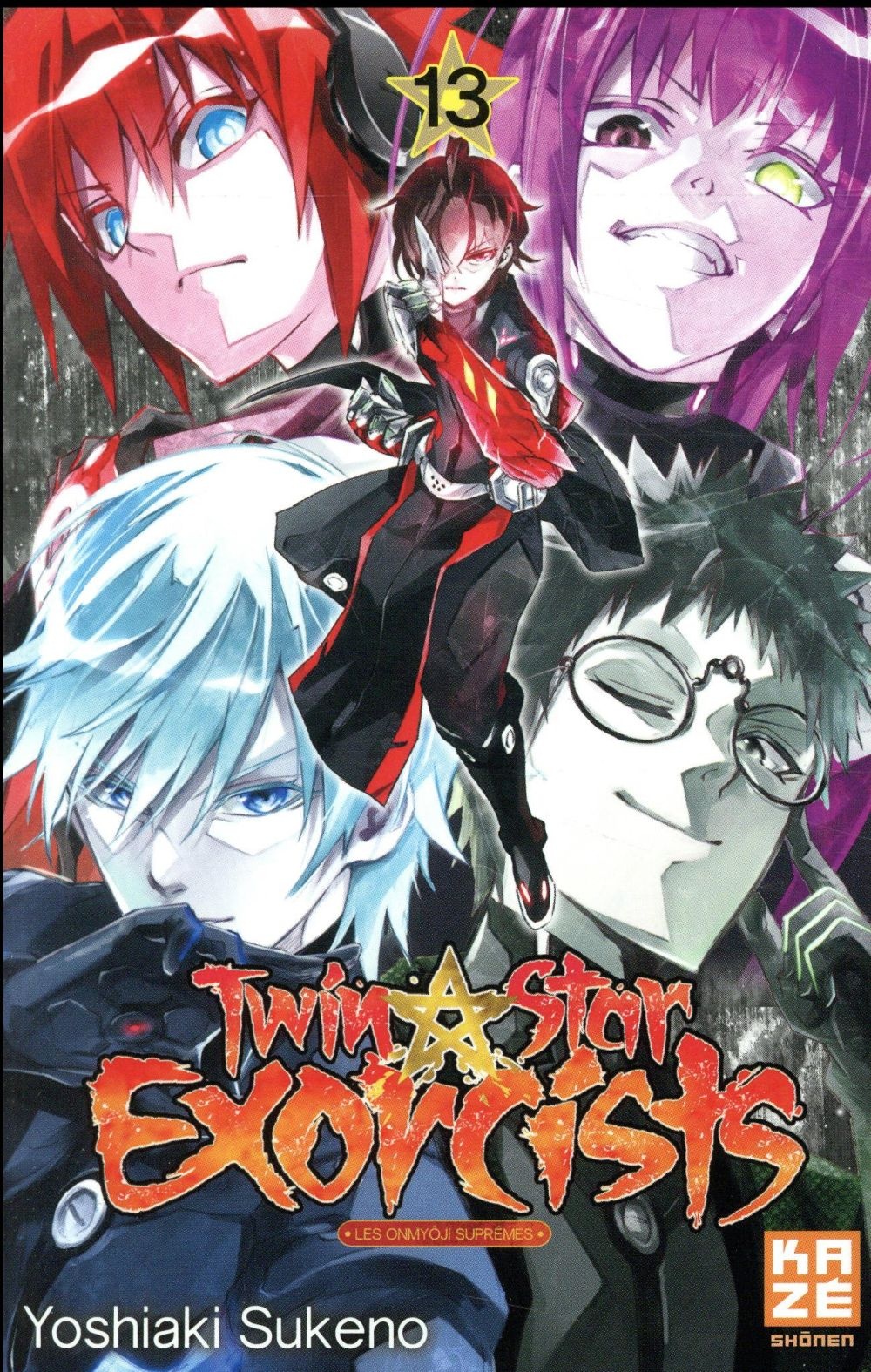 Twin Star Exorcists T13