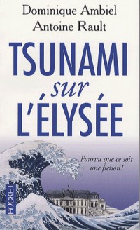 Tsunami sur l'Elysée : Pourvu que ce soit une fiction !