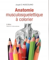 Anatomie musculosquelettique à colorier