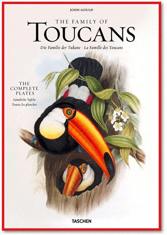 XL-GOULD, TOUCANS [9783836505246]