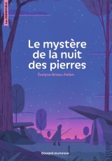Le mystère de la nuit des pierres