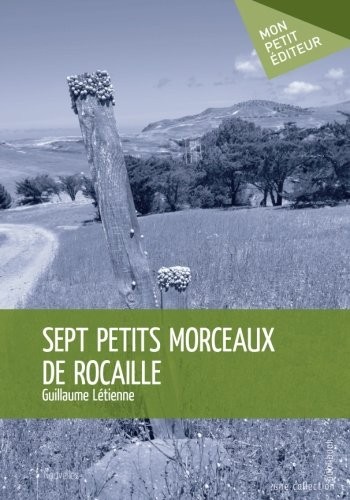 Sept petits morceaux de rocaille