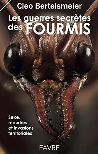 Les guerres secrètes des fourmis