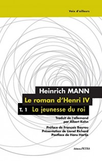 Le Roman d'Henri IV, Tome 1 : La jeunesse du roi