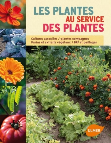 Bonnes associations de plantes. Mes alliances réussies