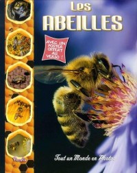 Les abeilles : Avec un poster offert au verso !