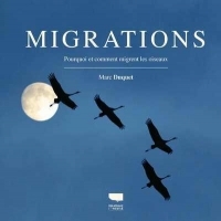 Migrations