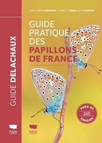 Guide pratique des papillons de France