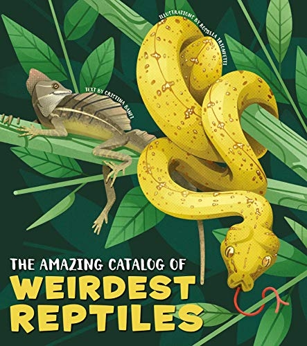 The Amazing Catalogue of Weirdest Reptiles