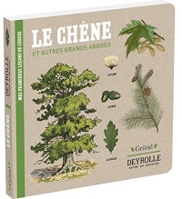 Deyrolle : Le Chêne et autres grands arbres – Album documentaire Jeunesse – À partir de 3 ans