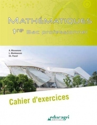 Mathématiques 1re Bac professionnel : Cahier d'exercices