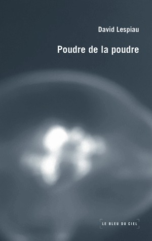 Poudre de la poudre