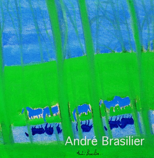 Andre brasilier