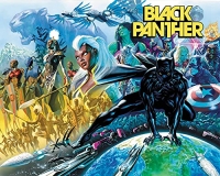 Black Panther Vol. 1