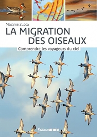 La migration des oiseaux: Comprendre les voyageurs du ciel