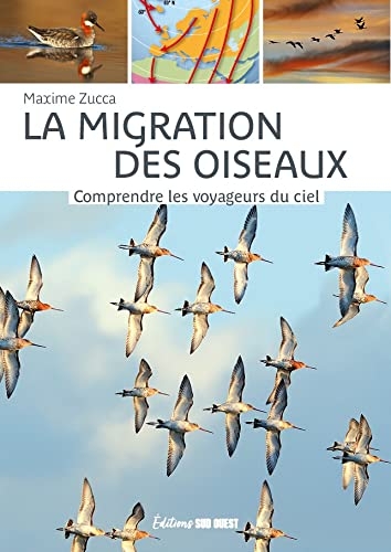 La migration des oiseaux: Comprendre les voyageurs du ciel