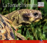 La Tortue d'Hermann