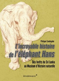 L'Incroyable histoire de l'éléphant Hans - Des forêts du Sri Lanka au Muséum d'Histoire naturelle